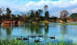 花溪花果园爆料事件最新,揭秘背后真相与争议